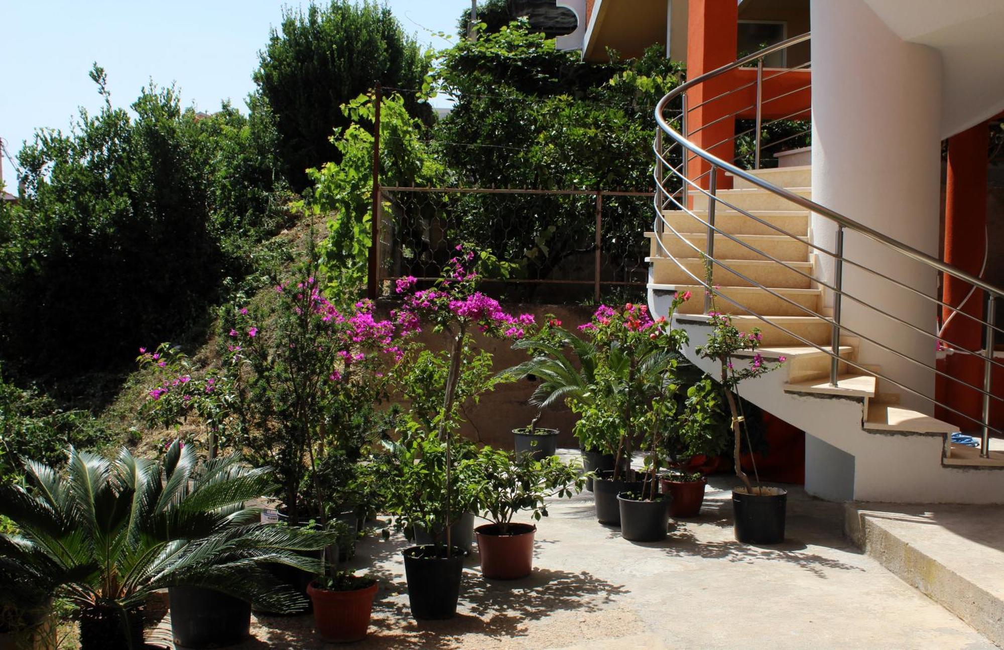 Apartments Olga Ulcinj Buitenkant foto