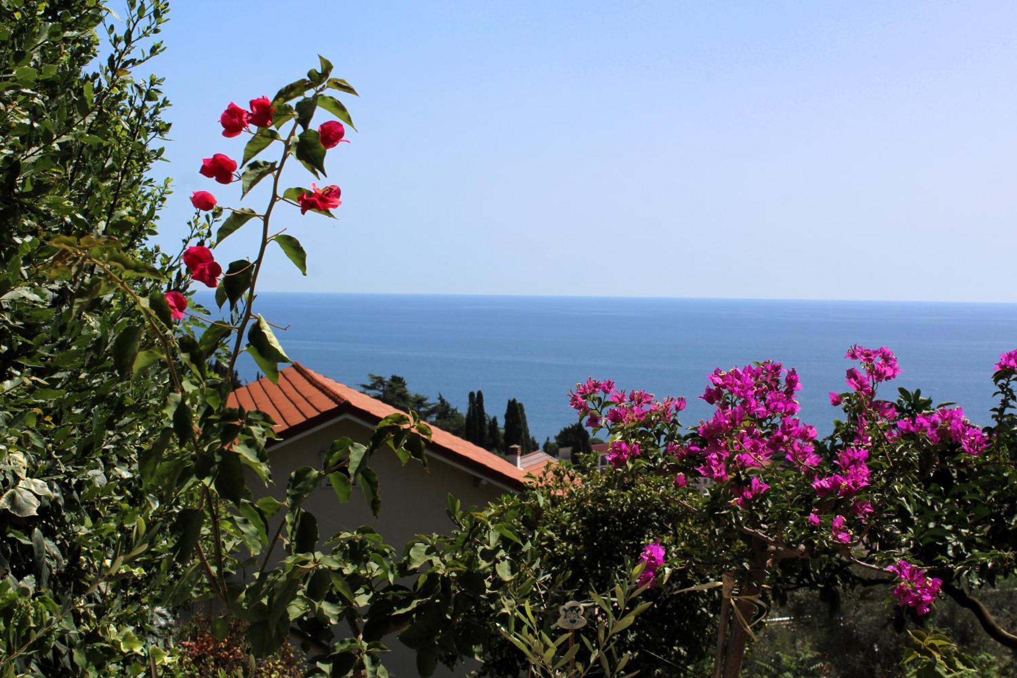 Apartments Olga Ulcinj Buitenkant foto